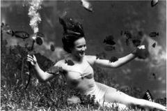 Photo from the Florida archives showing Weeki Wachee underwater mermaid in a very healthy ecosystem of fish and grasses.
