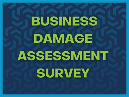 Business Damage Assessment Survey